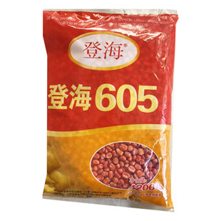 国审玉米种登海605玉米种子高产抗倒伏矮杆品种2025年必种新货