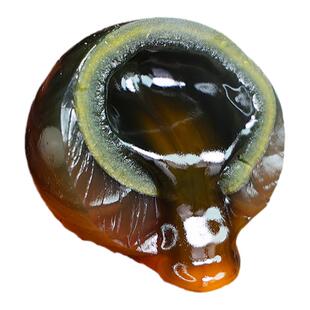 特大25枚海鸭皮蛋溏心松花皮蛋正宗广西红树林特产流心松花蛋整箱