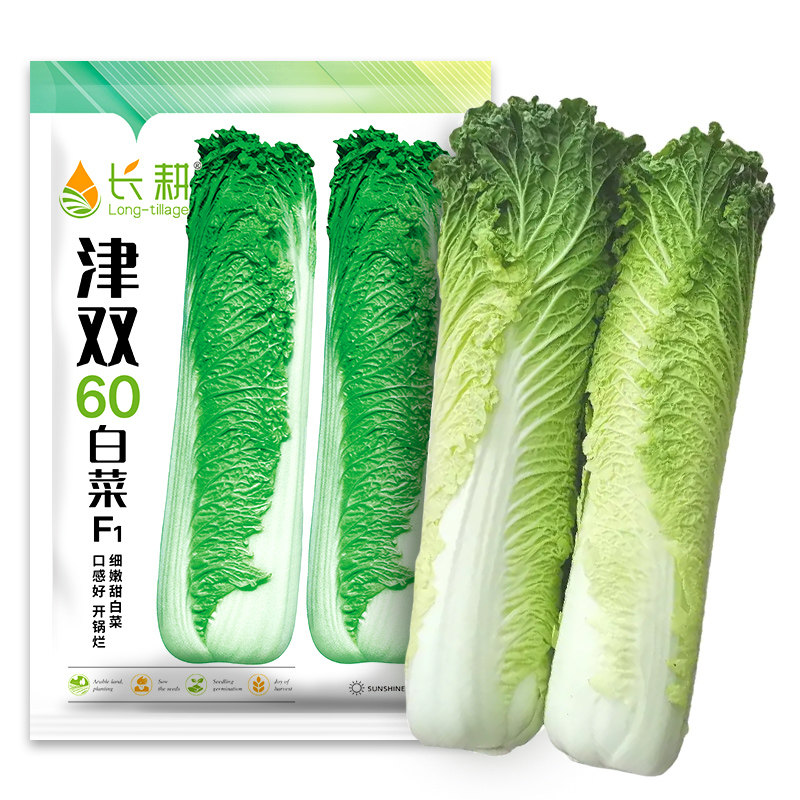 津双60大白菜种子秋季农家