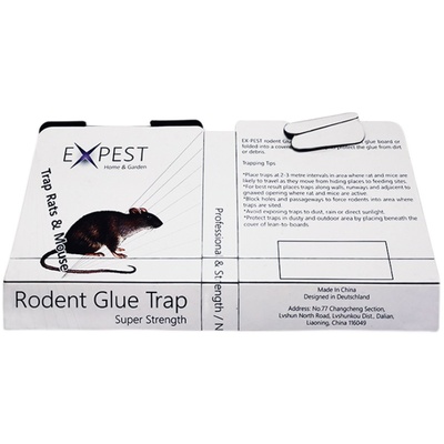 粘鼠板家用实惠装expest杀灭