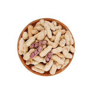 湿烤花生500g硬香多仁龙岩花生带壳香酥红衣零食紫衣水煮健康好吃