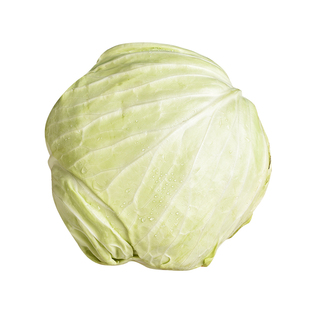 良道天成【有机青甘蓝】绿包菜卷心菜新鲜爽脆甘甜沙拉炒应季蔬菜