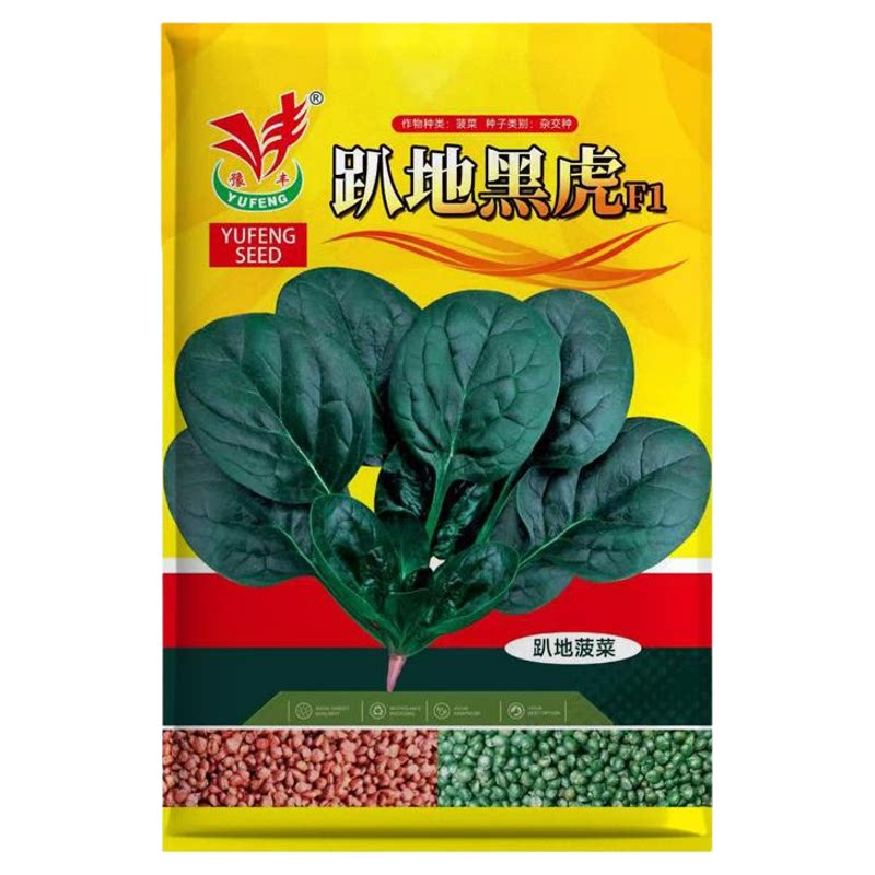 河南趴地菠菜红根种子老品种菠菜种籽春秋季庭院阳台种植耐寒四季