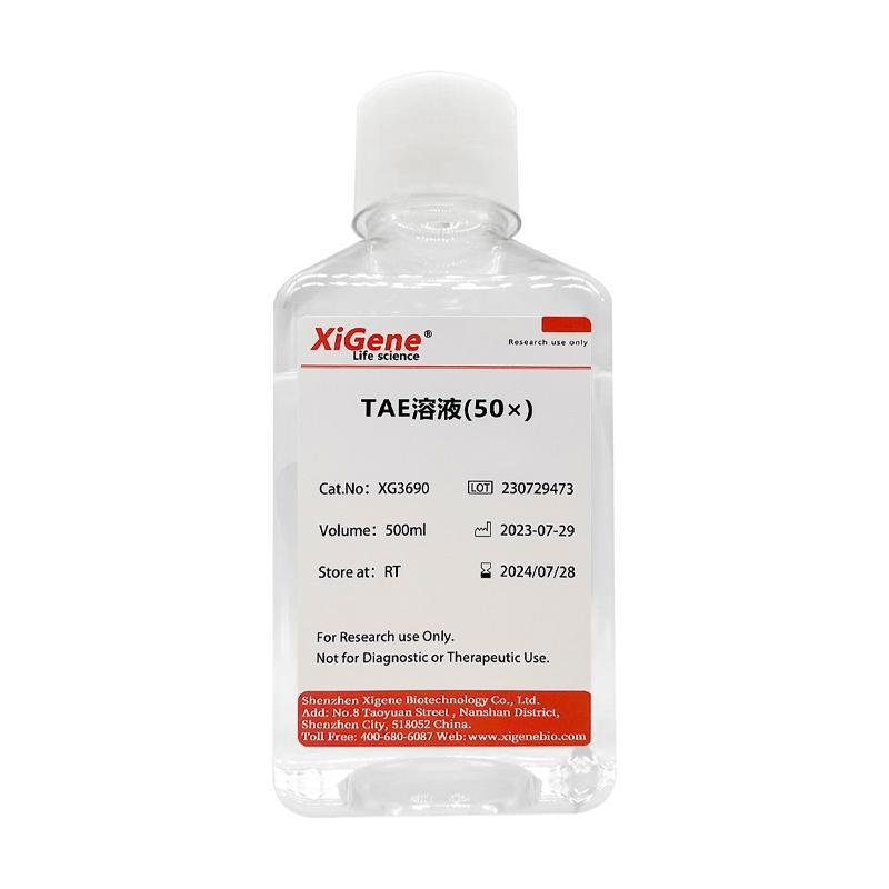 XiGene TAE溶液 50X Tris acetate-EDTA buffer DNA电泳缓冲液