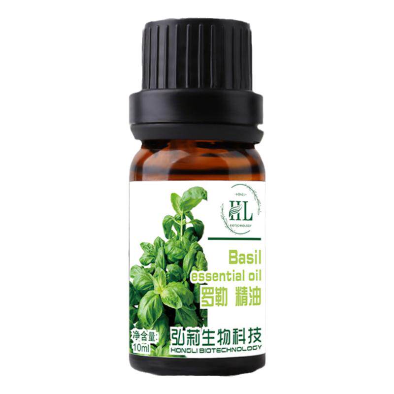印度罗勒单方植物精油