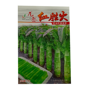 莴笋种子耐寒抗冻清香青皮红尖叶抗空心耐抽苔春秋冬种植蔬菜种籽