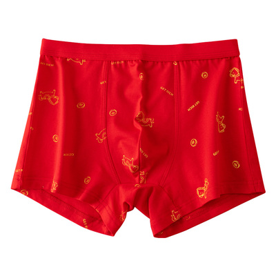 本命年儿童内裤袜子马年男礼盒