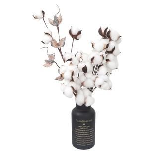 棉花干花永生花圣诞装饰花束新疆棉花插花拍照道具diy天然木棉花