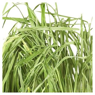 兔兔窝总店 精品烘干小麦草干草牧草 兔子龙猫荷兰猪500g全国包邮