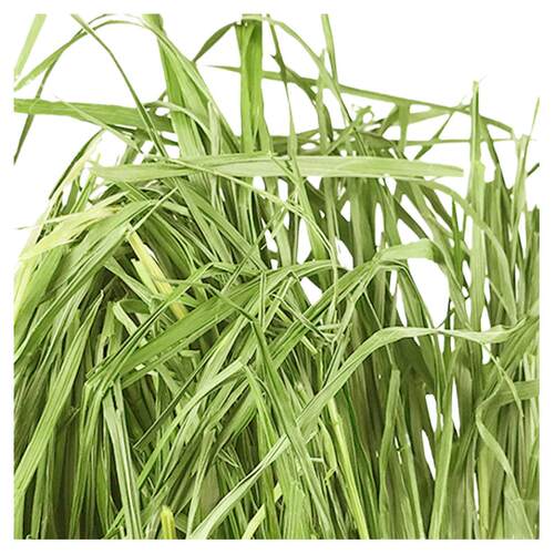 兔兔窝总店 精品烘干小麦草干草牧草 兔子龙猫荷兰猪500g全国包邮