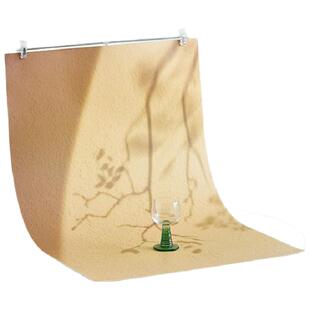 双面树影背景纸静物产品拍照拍摄道具化妆品美食饰品高清3D简约