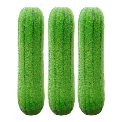 早熟高产肉丝瓜苗阳台盆栽