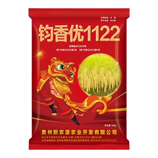 原装长粒香米优质杂交水稻种子钧香优1122长粒谷种适合早中晚稻