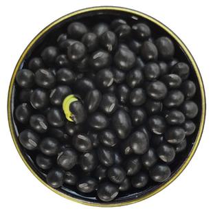 绿芯黑豆沂蒙农家自种2025年新豆打豆浆专用传统品种可生豆芽5斤