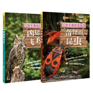 官方正版 小学生趣味科学课 2册 奇怪的昆虫 凶猛的飞鸟 6-12岁儿童小学生科普百科图书籍 拓展新思维 提升观察力 激发好奇心