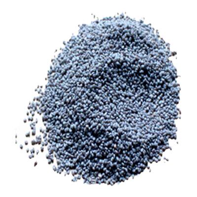 蚕宝宝卵蚕种蚕籽学生养蚕活物