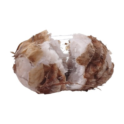 老少皆宜软糯芋艿新鲜小芋头