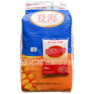 登海9号玉米种子红轴马齿饲料玉米大田苞谷高产抗病大棒春夏播种