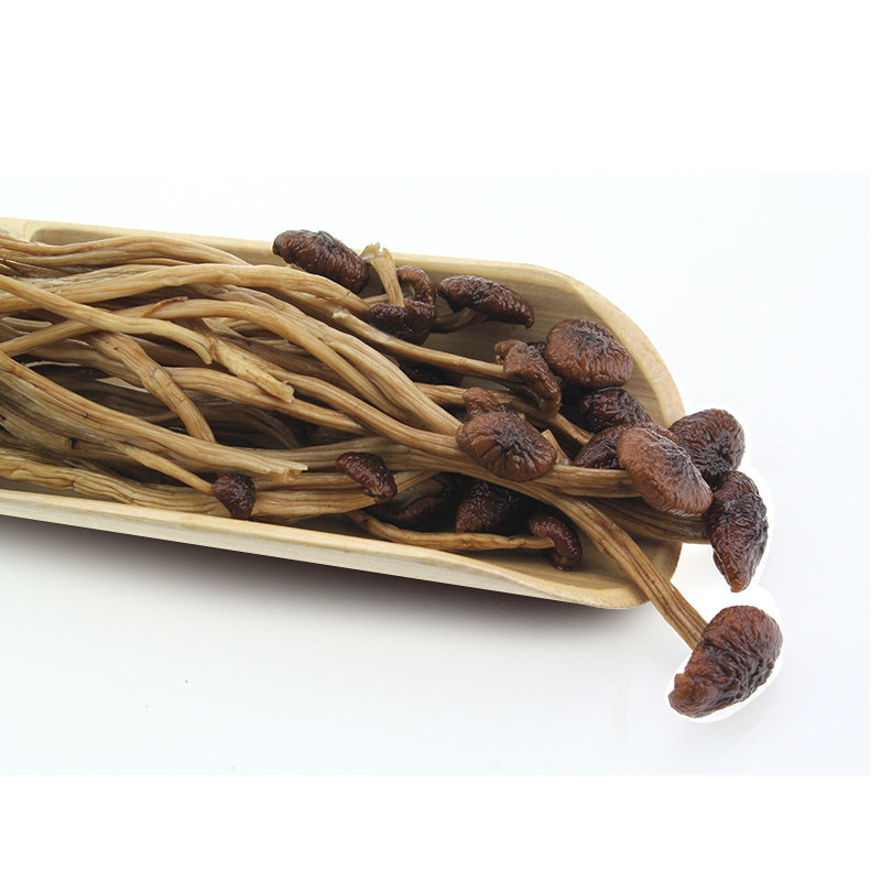 不开伞农家自产散装茶树菇干货