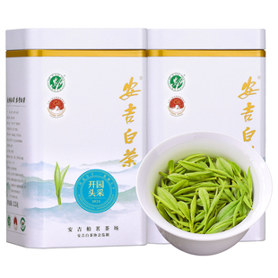 珍品安吉白茶2025年新茶明前特级绿茶散装白茶官方旗舰店茶叶500g