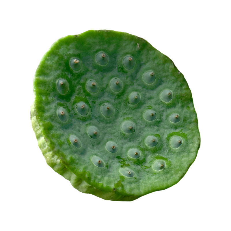 洪湖新鲜嫩莲蓬现摘现发顺丰包邮