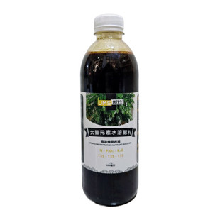 昆士兰大叶伞保罗盆栽大量元素营养液室内盆景庭院绿植喷施水溶肥