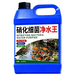 硝化细菌净水王鱼缸专用硝化细菌活菌稳定水质清澈剂养鱼净水剂の