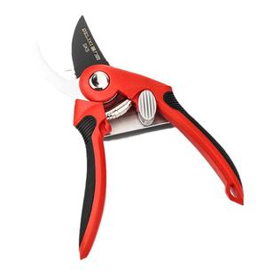 德力西园艺果树修枝剪园林枝剪剪枝剪子花卉花艺修剪树枝专用剪刀