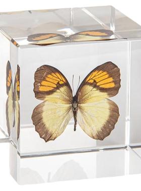 蝴蝶摆件创意饰品客厅个性工艺品