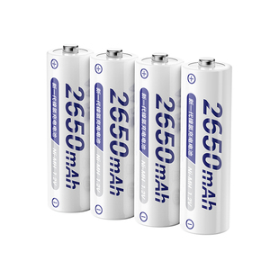 品胜5号充电电池2500毫安大容量数码相机AA五号七号快充电器通用KTV麦克风话筒玩具游戏手柄耐用镍氢电池套装