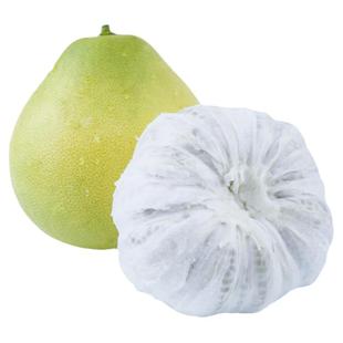 湖南怀化安江雪峰冰糖柚子新鲜药柚小苦柚单果600克以上特大果50