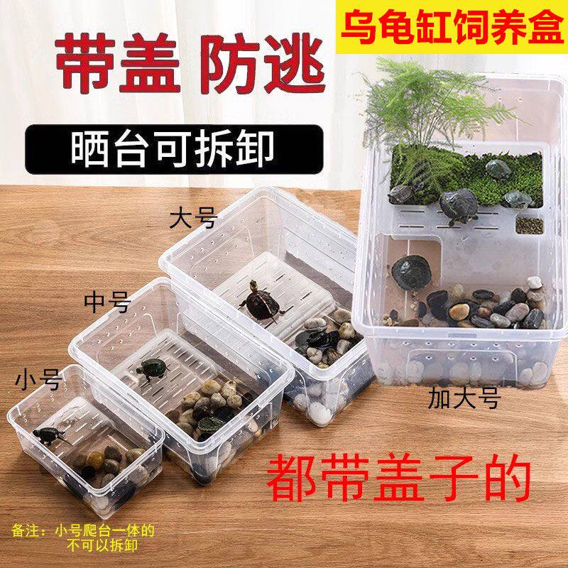 青蛙饲养箱爬宠饲养盒两栖箱小乌龟缸守宫角蛙盒带晒台塑料乌龟盒