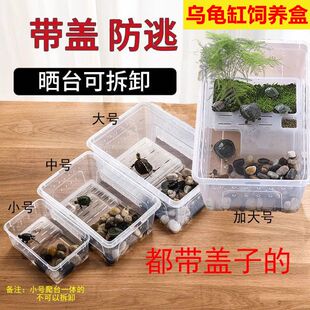 青蛙饲养箱爬宠饲养盒两栖箱小乌龟缸守宫角蛙盒带晒台塑料乌龟盒
