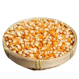 爆米花专用玉米粒蝶形球形微波自制商用家用炒锅零食自己爆老式干