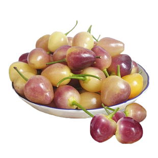 五彩椒种籽小辣椒广西特产泡椒珍珠七彩椒种孑盆栽蔬菜种子四季播