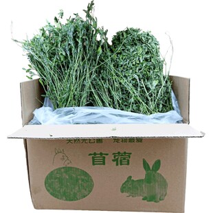 2025年新草紫花苜蓿草兔食用草料兔粮食兔子干草龙猫吃的牧草饲料