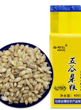 新鲜脱皮大麦仁粗粮煮粥