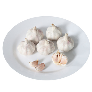 有机大蒜新鲜山东白皮干蒜大蒜头生吃炒菜炖菜农家健康无农残蔬菜