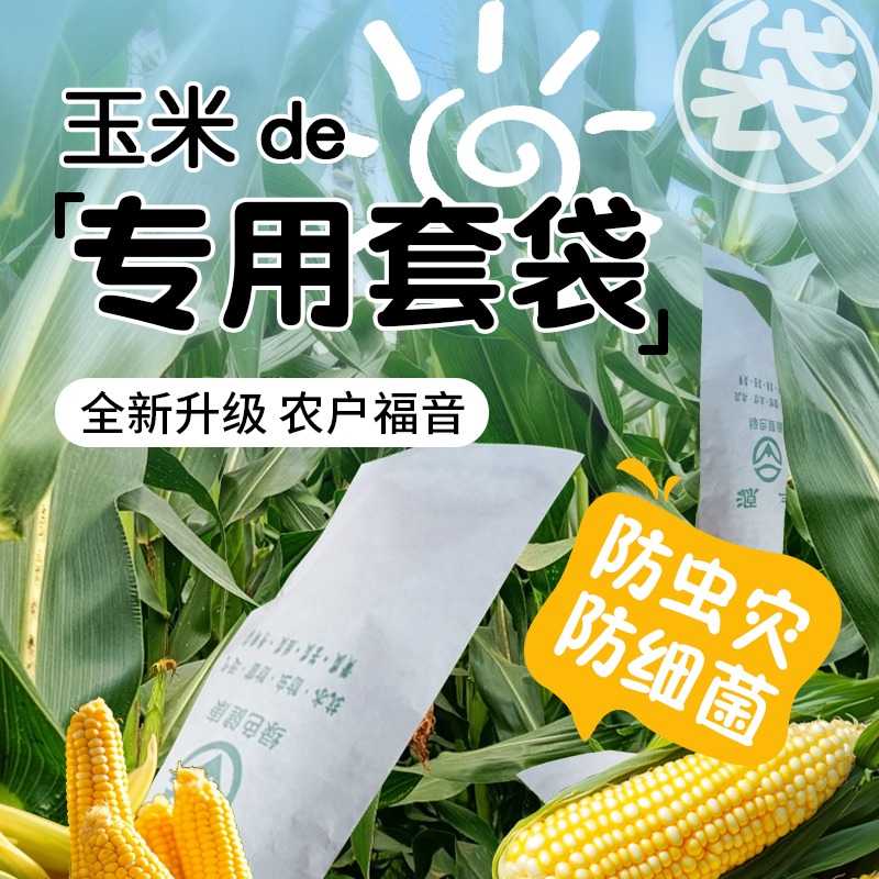 玉米套袋专用防鼠防虫防鸟神器农用保护套蔬菜苦瓜丝瓜通用型纸袋