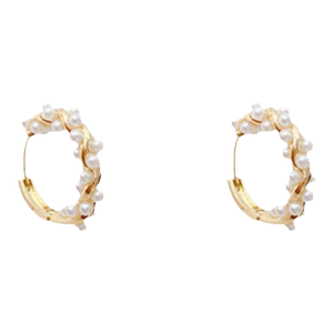 s925银针高级感轻奢珍珠耳圈女夏季小众设计感耳环2024年新款潮