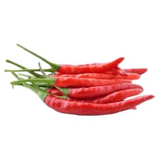 方震小米辣椒种子特辣高产朝天椒种籽四季阳台盆栽蔬菜种子大全