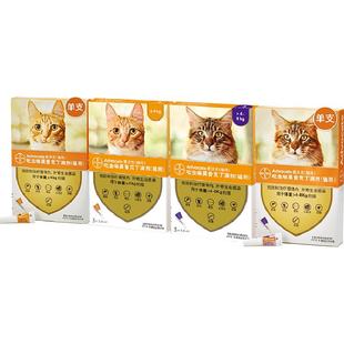 爱沃克幼成猫宠物体内外一体同驱虫药除耳螨蛔虫猫用德国滴剂