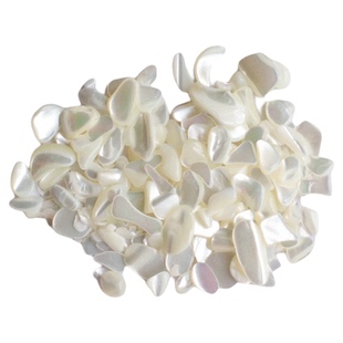 光彩亮泽天然贝壳螺钿碎料碎片 美甲亮片指甲贴片DIY手工材料配件