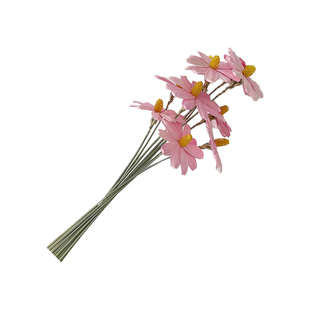 LA朴町 彩色干花花店鲜花花束包装手工diy搭配瓜子花资材材料