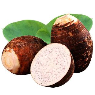 广西荔浦大芋头5斤正宗现挖新鲜大粉香芋槟榔芋紫藤毛芋蔬菜整箱