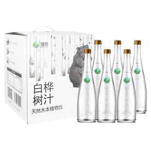 伊春白桦树汁100%天然原液小兴安岭白桦树原汁NFC植物饮料无添加