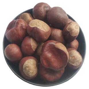 中药材 娑罗子 梭罗子 婆罗子 桫椤果 梭罗果 梭罗果片 500克包邮