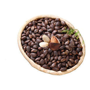 2025年新货云南新鲜落水生松子散装大颗粒手剥孕妇非东北松籽仁