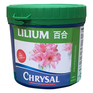 百合营养粉荷兰可利鲜鲜花保鲜剂百合伴侣百合桶百合专用水养剑兰