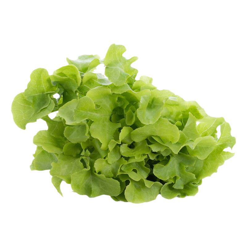 生菜新鲜沙拉西餐食材健身